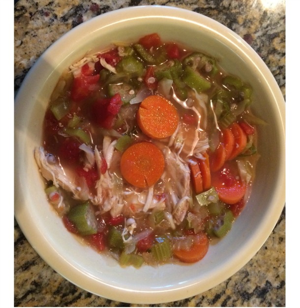 Chicken – Vegetable Soup